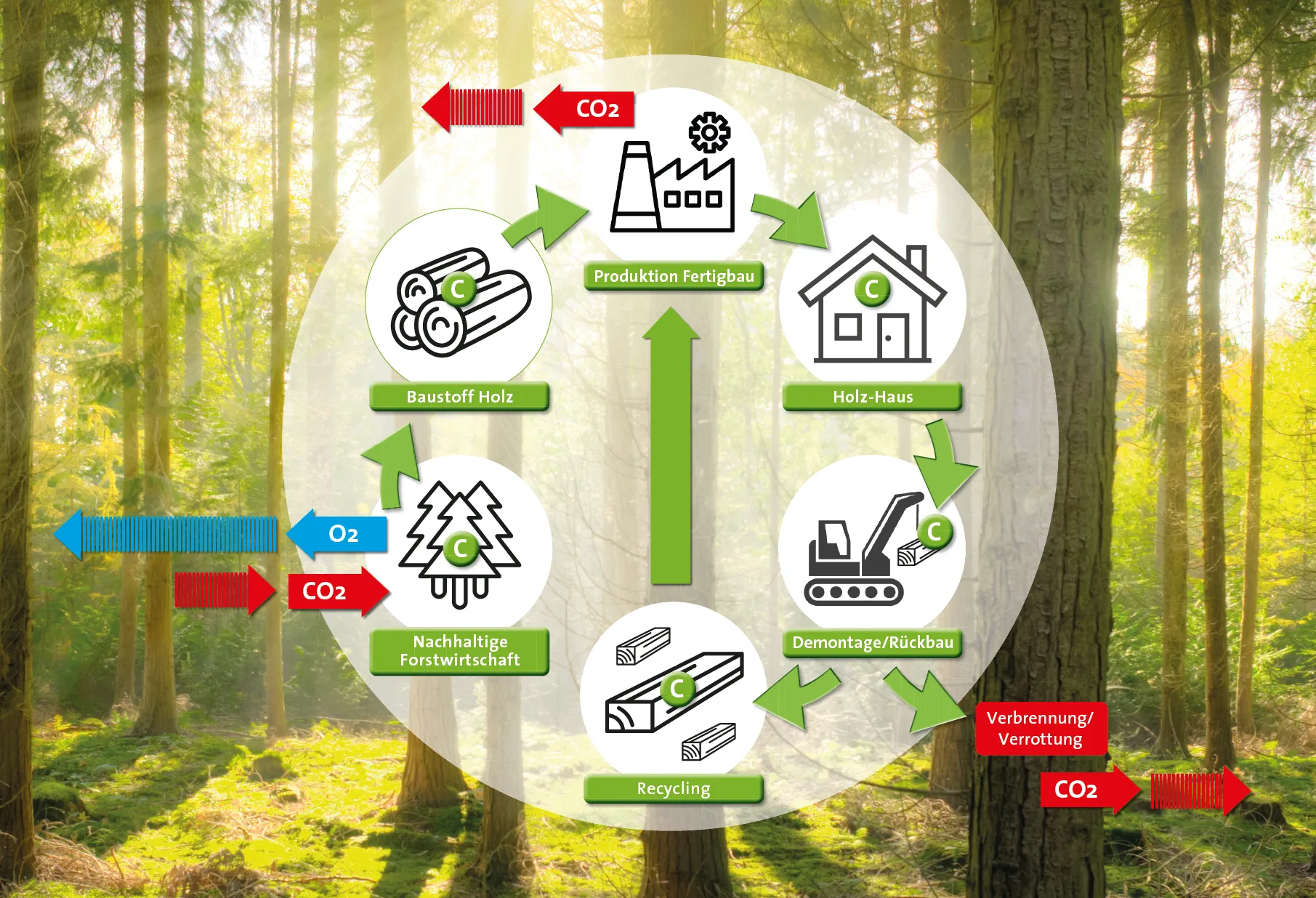 CO₂-Kreislauf Holzhaus